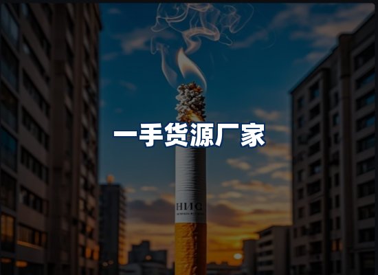 专业团队办公环境